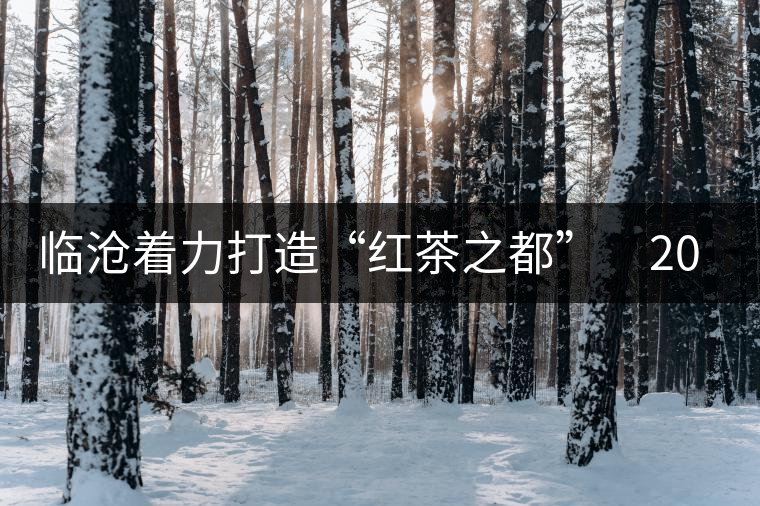 臨滄著力打造“紅茶之都”　2015年茶產(chǎn)業(yè)產(chǎn)值力爭達到50億元