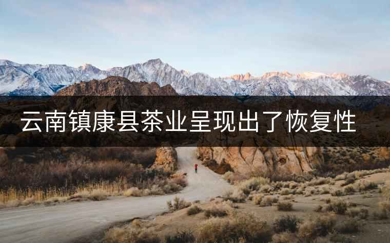 云南鎮(zhèn)康縣茶業(yè)呈現(xiàn)出了恢復(fù)性增長的態(tài)勢(shì)