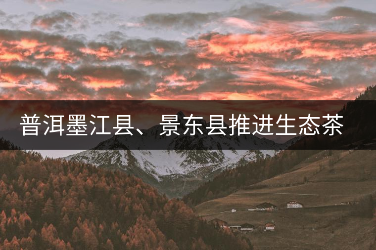 普洱墨江縣、景東縣推進(jìn)生態(tài)茶園建設(shè)