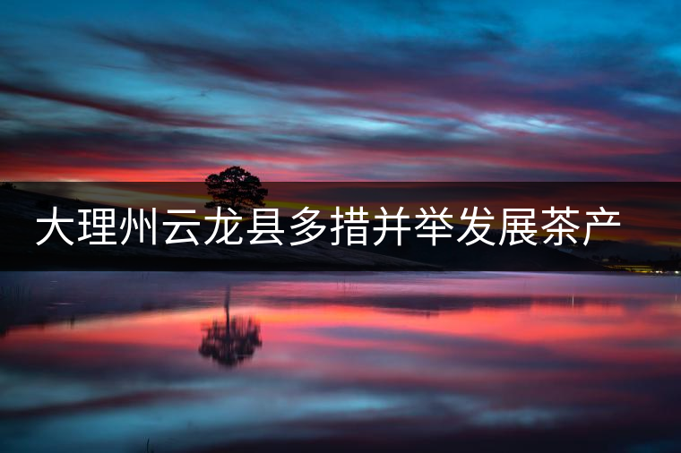大理州云龍縣多措并舉發(fā)展茶產業(yè)