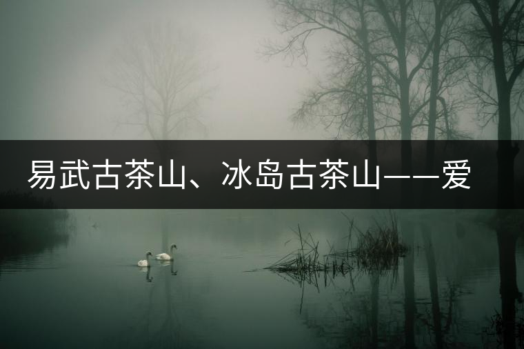 易武古茶山、冰島古茶山——愛茶人的旅游選擇