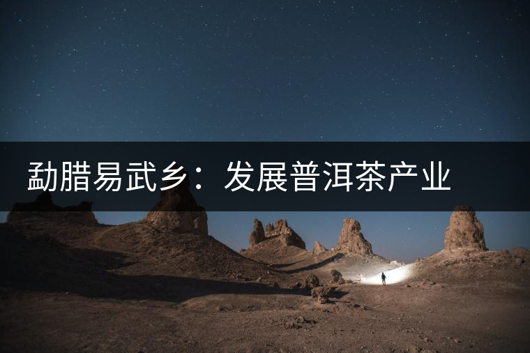 勐臘易武鄉(xiāng)：發(fā)展普洱茶產(chǎn)業(yè)  打造“中國貢茶第一鎮(zhèn)”