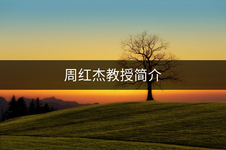周紅杰教授簡(jiǎn)介