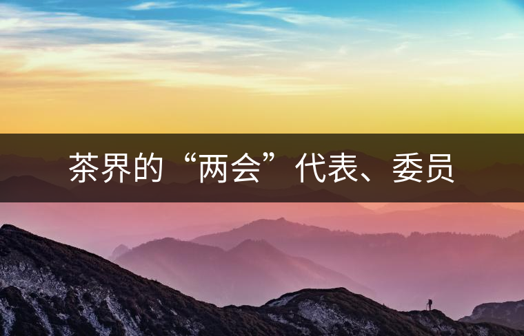 茶界的“兩會(huì)”代表、委員