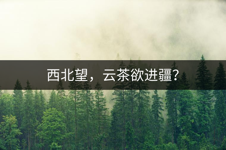 西北望，云茶欲進(jìn)疆？