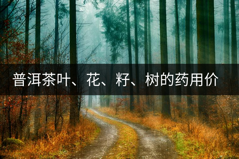 普洱茶葉、花、籽、樹的藥用價(jià)值