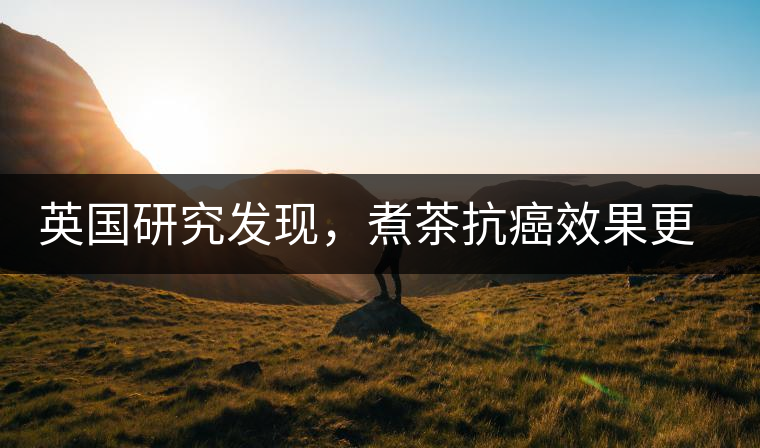 英國研究發(fā)現(xiàn)，煮茶抗癌效果更明顯