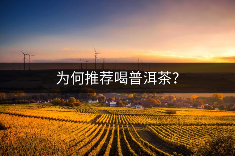 為何推薦喝普洱茶？
