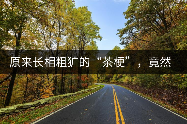 原來(lái)長(zhǎng)相粗獷的“茶?！保谷贿€有這么多的作用