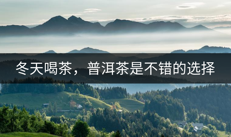 冬天喝茶，普洱茶是不錯(cuò)的選擇