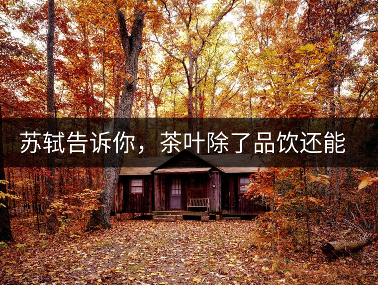 蘇軾告訴你，茶葉除了品飲還能做什么？