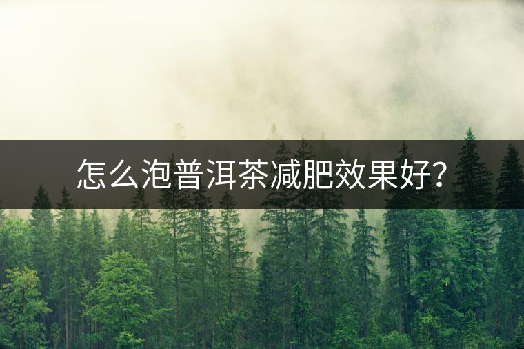 怎么泡普洱茶減肥效果好？