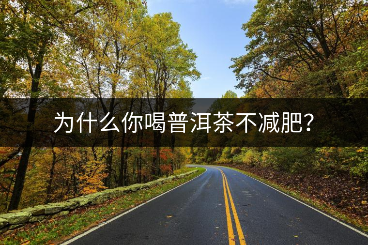 為什么你喝普洱茶不減肥？