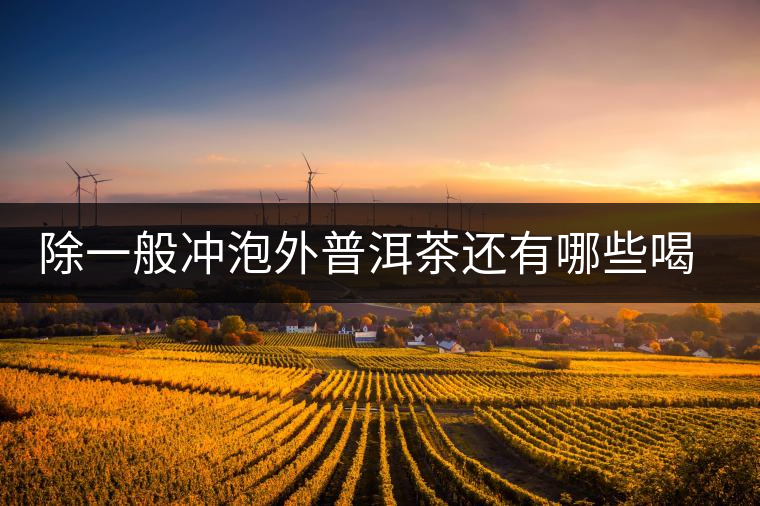 除一般沖泡外普洱茶還有哪些喝法？