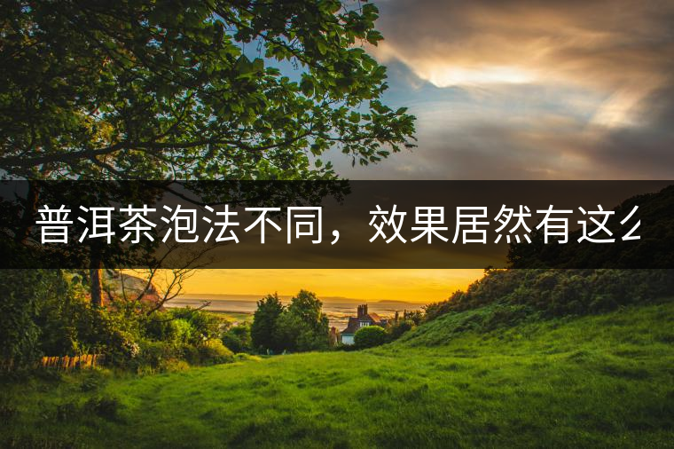 普洱茶泡法不同，效果居然有這么大區(qū)別！