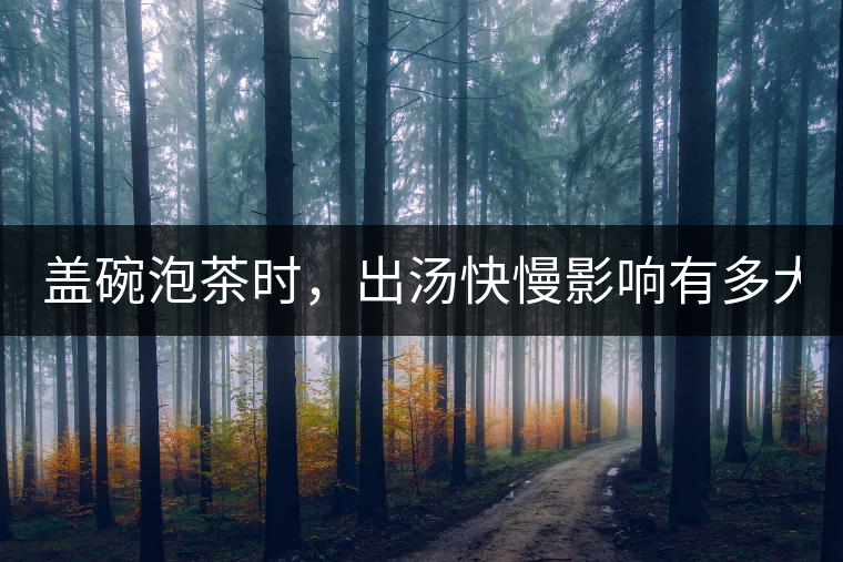 蓋碗泡茶時，出湯快慢影響有多大？