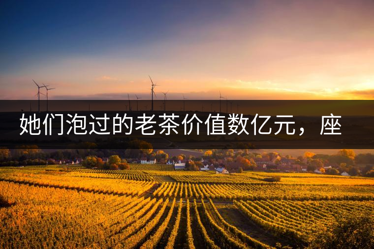 她們泡過的老茶價(jià)值數(shù)億元，座上賓是余秋雨、李云迪……