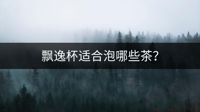 飄逸杯適合泡哪些茶？