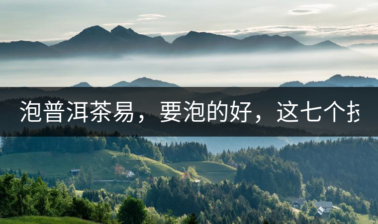 泡普洱茶易，要泡的好，這七個技巧很重要！