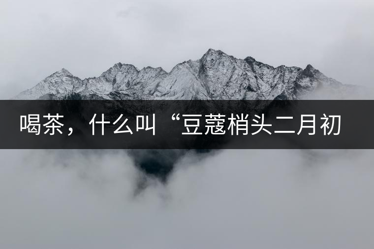 喝茶，什么叫“豆蔻梢頭二月初”？