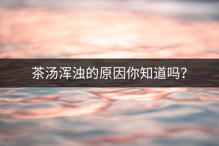 茶湯渾濁的原因你知道嗎？