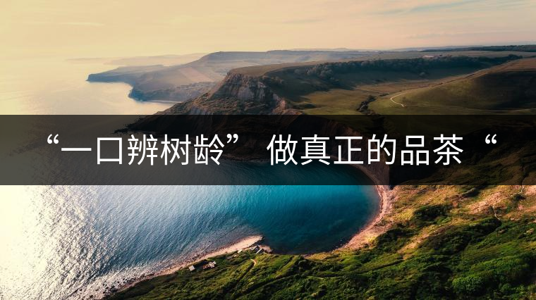 “一口辨樹齡” 做真正的品茶“大師”！