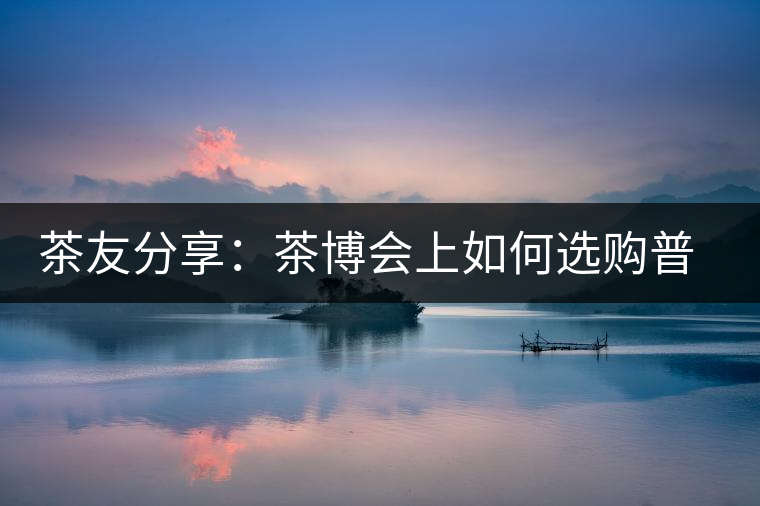 茶友分享：茶博會上如何選購普洱茶？