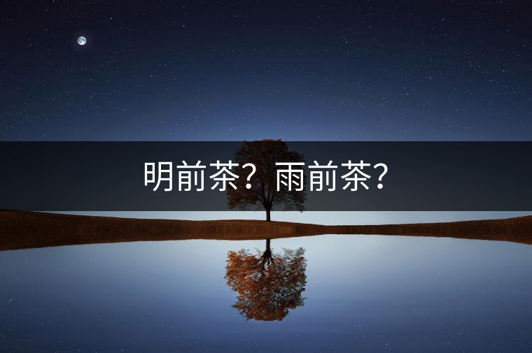 明前茶？雨前茶？