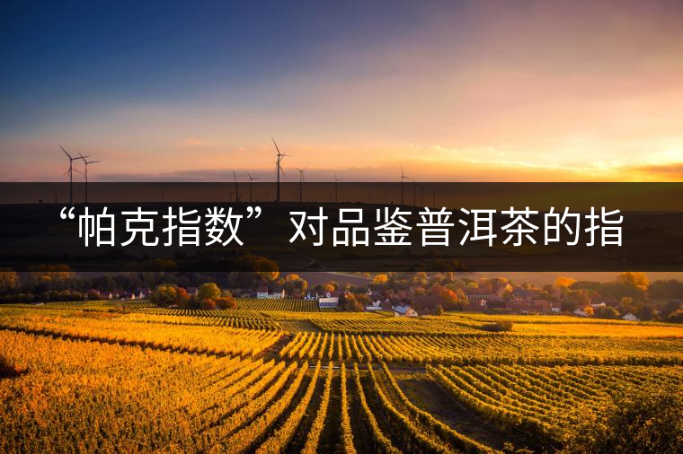 “帕克指數(shù)”對(duì)品鑒普洱茶的指導(dǎo)意義在哪里？「跨界有道」