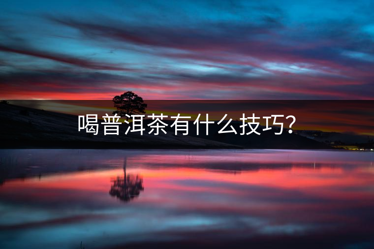 喝普洱茶有什么技巧？