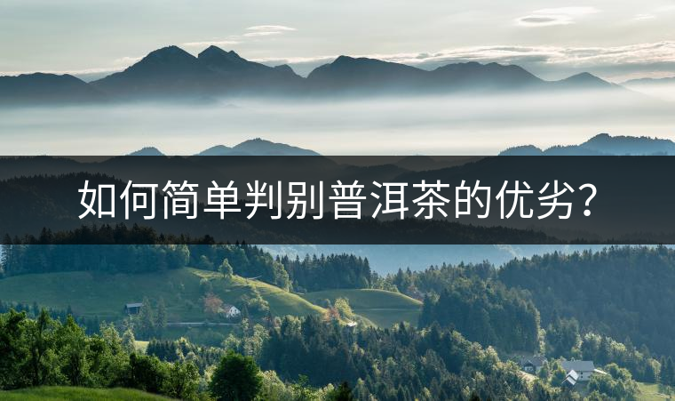 如何簡(jiǎn)單判別普洱茶的優(yōu)劣？