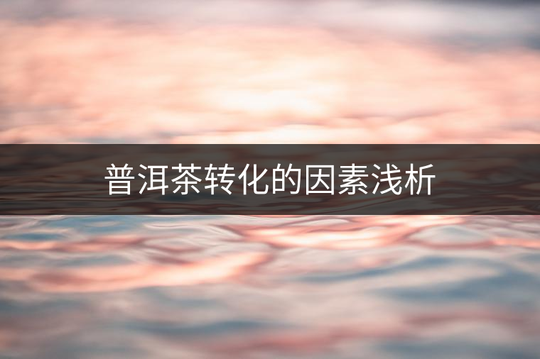 普洱茶轉(zhuǎn)化的因素淺析