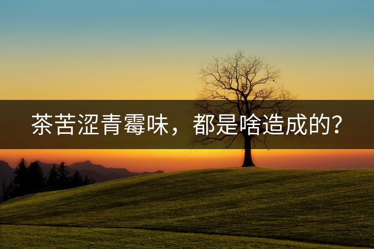 茶苦澀青霉味，都是啥造成的？