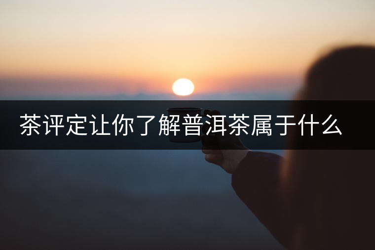 茶評定讓你了解普洱茶屬于什么茶系？