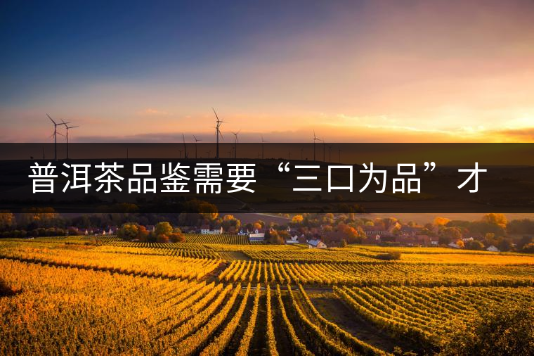 普洱茶品鑒需要“三口為品”才真實(shí)，那從哪里入手品鑒呢？