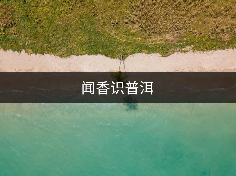 聞香識普洱 聞香識普洱