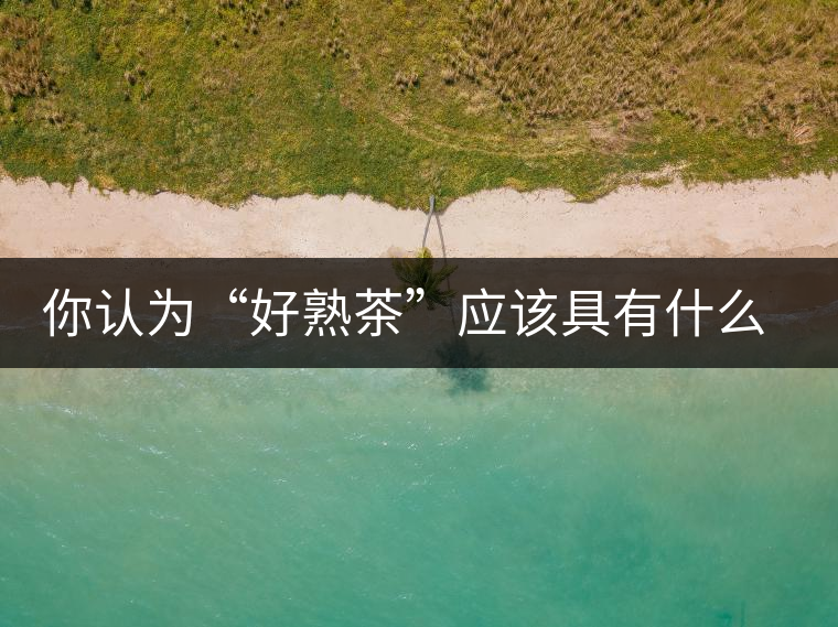 你認為“好熟茶”應該具有什么樣的標準？