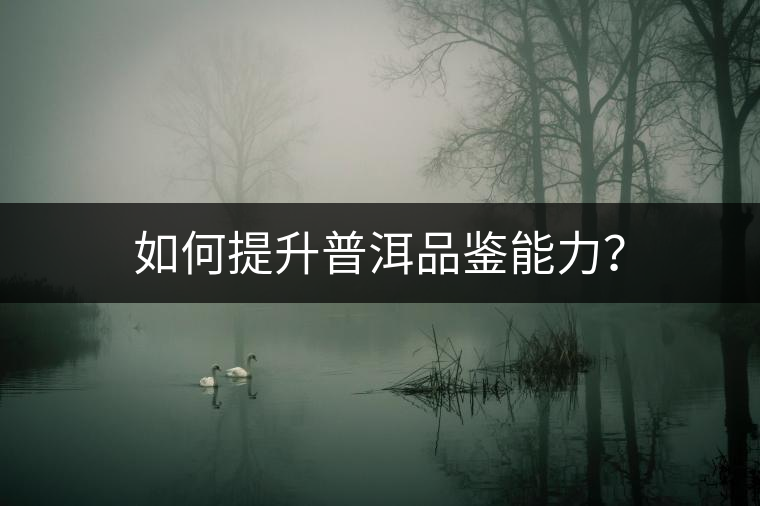 如何提升普洱品鑒能力？