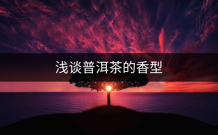 淺談普洱茶的香型