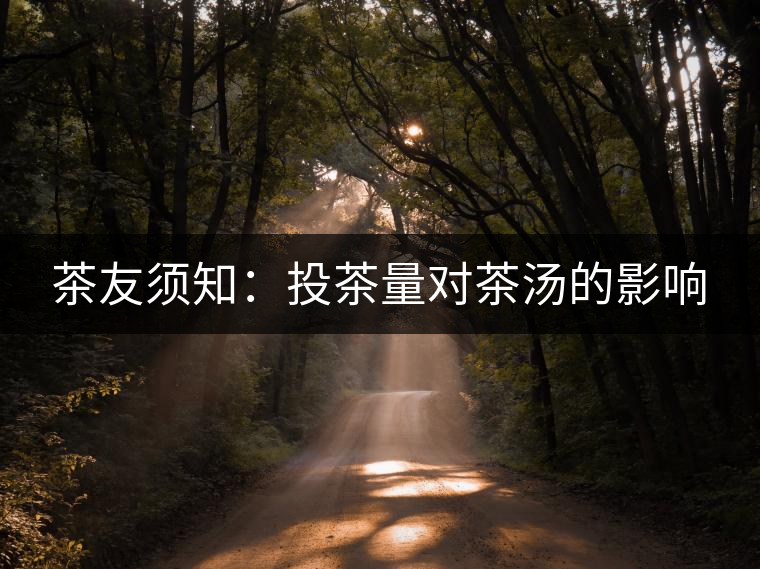 茶友須知:投茶量對茶湯的影響 茶友須知:投茶量對茶湯的影響
