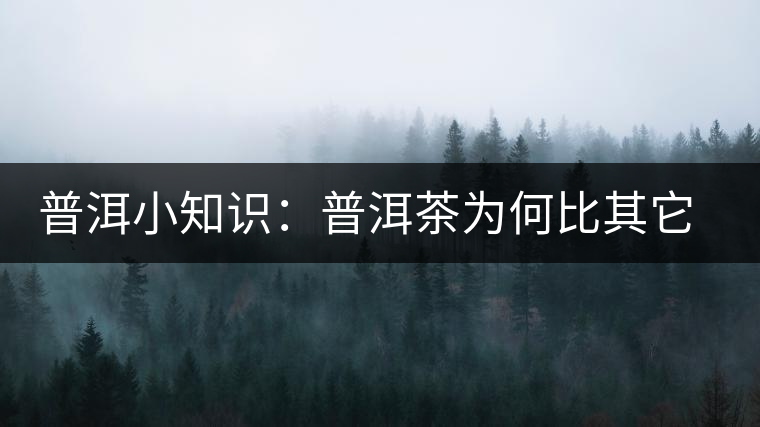 普洱小知識(shí)：普洱茶為何比其它茶葉耐泡？