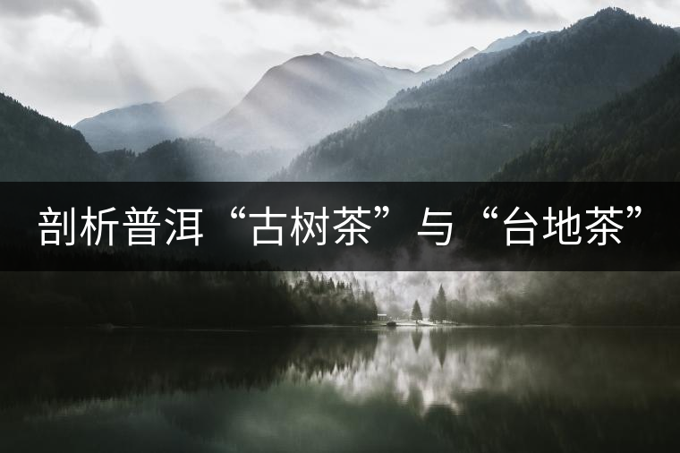 剖析普洱“古樹茶”與“臺(tái)地茶” 剖析普洱“古樹茶”與“臺(tái)地茶”