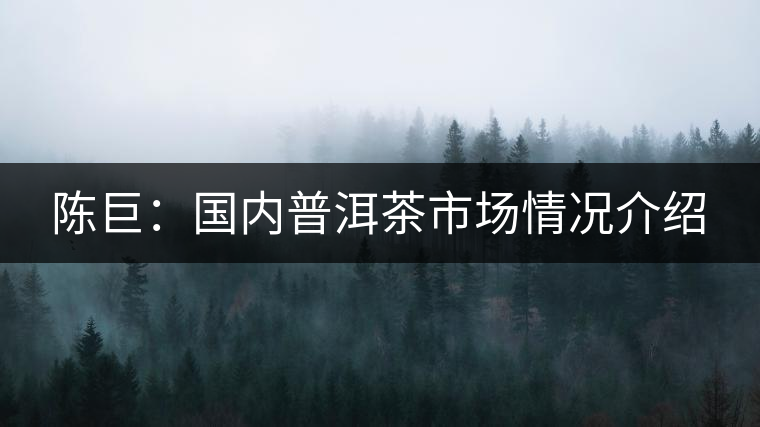 陳巨：國內普洱茶市場情況介紹