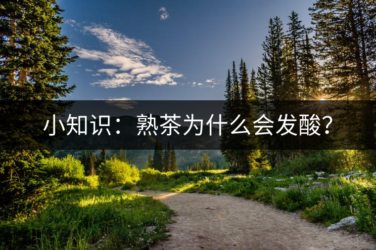 小知識(shí)：熟茶為什么會(huì)發(fā)酸？