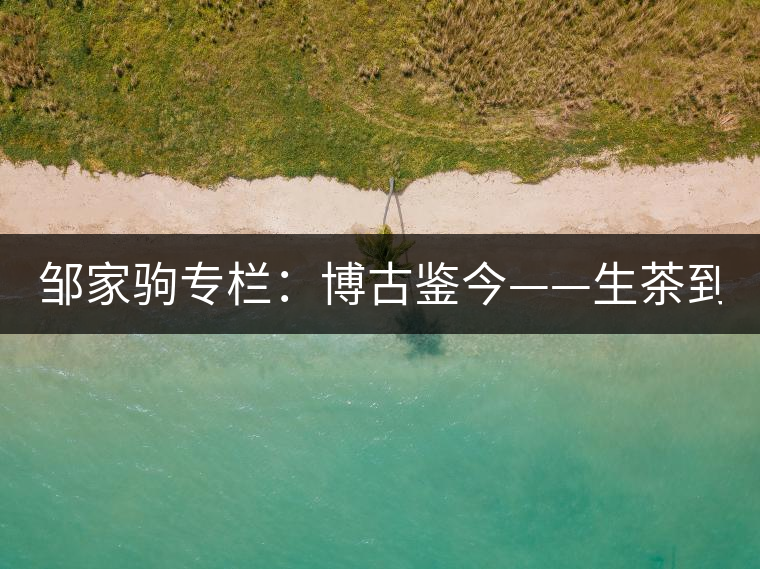 鄒家駒專欄：博古鑒今——生茶到底是不是普洱茶？