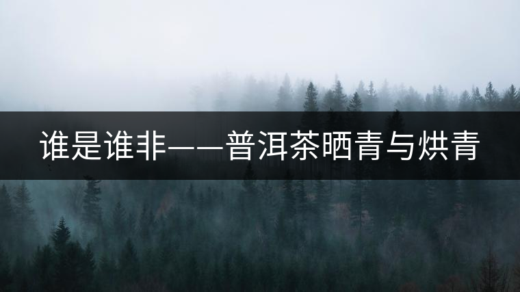 誰(shuí)是誰(shuí)非——普洱茶曬青與烘青 誰(shuí)是誰(shuí)非——普洱茶曬青與烘青