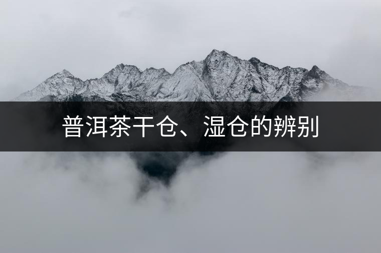 普洱茶干倉(cāng)、濕倉(cāng)的辨別