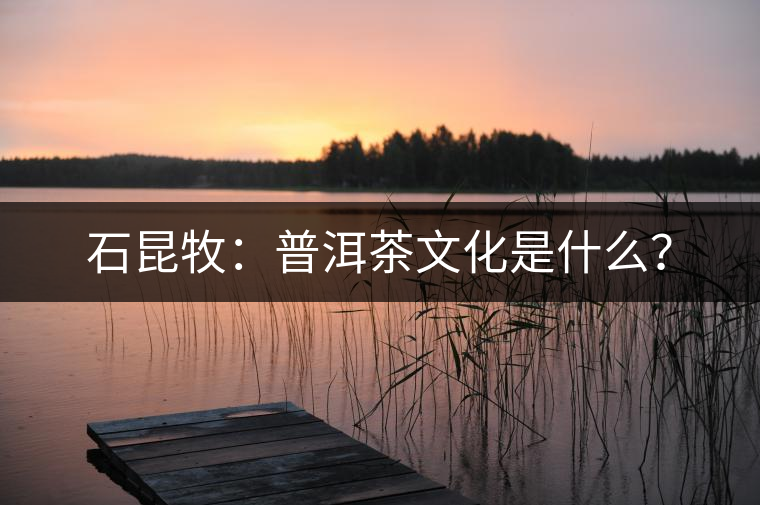 石昆牧：普洱茶文化是什么？