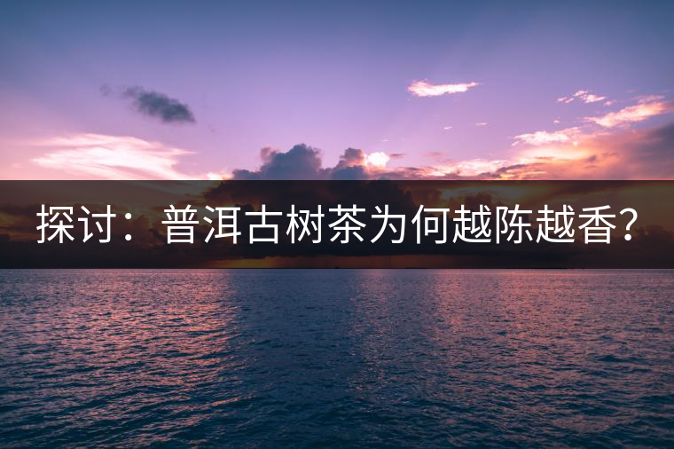 探討：普洱古樹(shù)茶為何越陳越香？