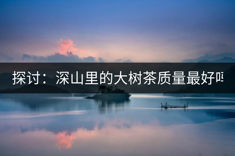 探討：深山里的大樹茶質(zhì)量最好嗎？